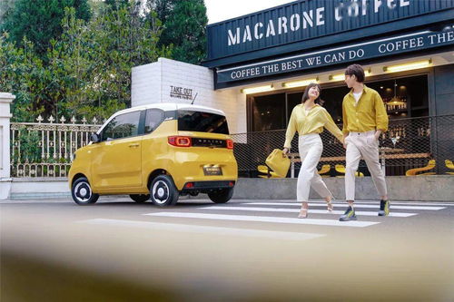 株洲小伙伴們，2021株洲市惠民汽車消費節(jié)車系品牌全在這，趕緊看過來——小微型客車篇
